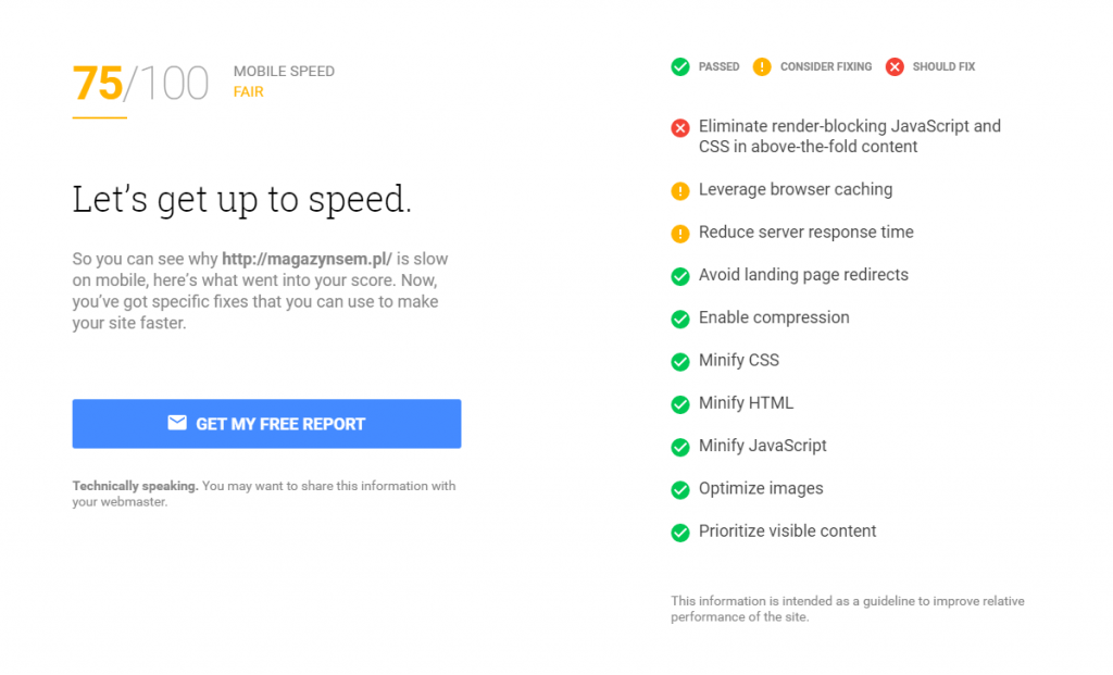 Google Mobile Website Speed Testing Tool - Raport